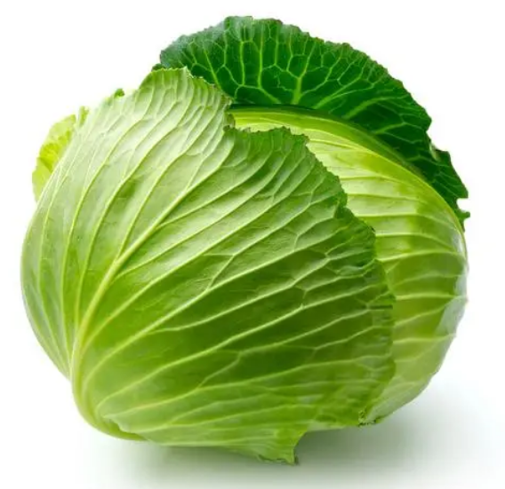 有機(jī)農(nóng)場新鮮直達(dá)：從枝頭到餐桌的極致體驗(yàn)
